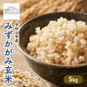 【ふるさと納税】JAS認証米 令和6年産 みずかがみ玄米 5kg 米 コメ こめ お米 おこめ 玄米 みずかがみ ミズカガミ ブランド米 滋賀県産 国産 グルメ お取り寄せ