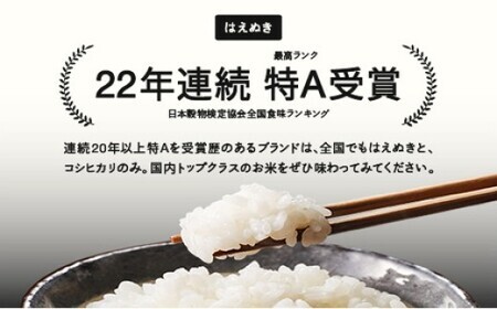 はえぬき 精米 10kg 5月中旬~5月下旬発送 配送時期選べる 令和7年産 2025年産 ※沖縄・離島への配送不可 tf-hasxb10-5s