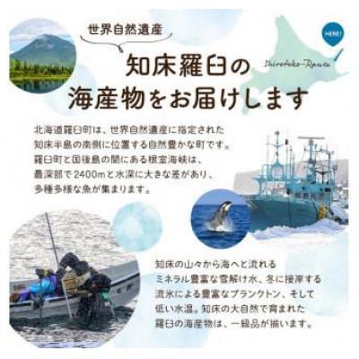 ふるさと納税 羅臼町 【毎月定期便】羅臼の魚 おすすめセット(1)全10回 |  | 02