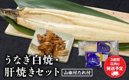 うなぎ白焼・肝焼きセット うなぎ 白焼 セット