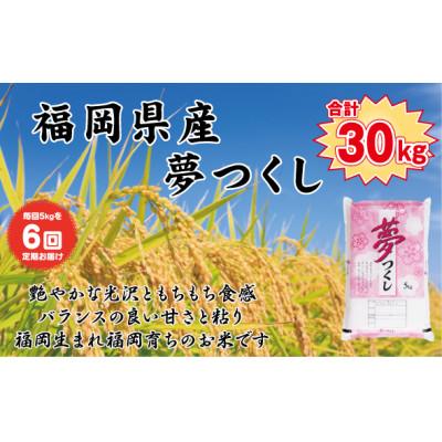 ふるさと納税 北九州市 【毎月定期便】【食味鑑定士厳選】福岡県産 夢つくし5kg(5kg×1袋)(北九州市)全6回