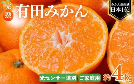 【2025年12月発送予約分】＼光センサー選別／ 【農家直送】【家庭用】こだわりの有田みかん 約4kg＋250g(傷み補償分)  先行予約 有機質肥料100% サイズ混合 【12月発送】みかん ミカン 有田みかん 温州みかん 柑橘 有田 和歌山【nuk148-12】