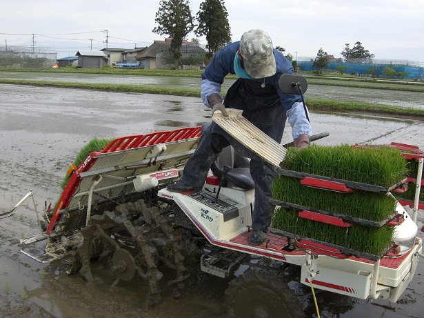 【 3ヶ月定期便 / 令和6年産 】 つや姫 5kg ( 1袋 ) / 月 計 15kg 米沢産 2024年産