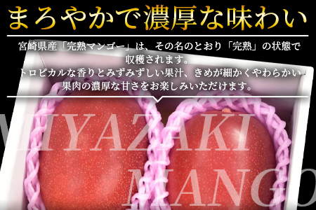 ★ANA限定★2026年発送★数量限定＜宮崎県産 完熟マンゴー B3Lサイズ×2玉＞2026年4月上旬～6月末迄に順次出荷【 ANA限定 ANAオリジナル マンゴー まんごー 完熟マンゴー 宮崎名物 