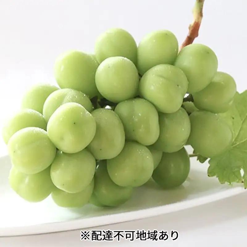 ぶどう 早期受付 シャインマスカット 1房 650g以上 ブドウ 葡萄 ぶどう