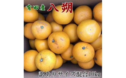 
            ZD6308n_【2026年先行予約】【手選果】有田産の 八朔【訳あり 家庭用】10kg (サイズ混合)
          