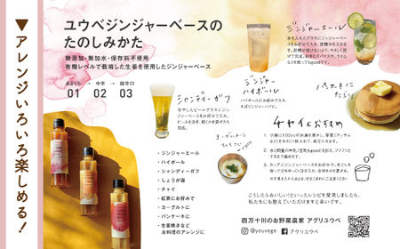 生姜好きさんにオススメ！ 濃厚 しょうがシロップ 5本セット【中辛】国産 生姜シロップ 自家製 生姜 しょうが ショウガ ジンジャー シロップ アレンジ ドリンク 料理 調味料 高知 四万十 四万十市