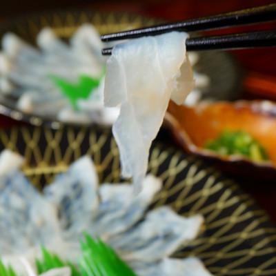 ふるさと納税 上天草市 《お一人様用》とらふぐ刺身セット(一人前×2皿)『ポン酢/薬味付き』 |  | 01