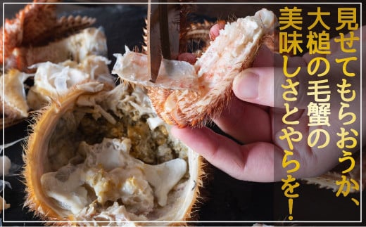 【訳あり】【令和8年発送】三陸産！活毛ガニ 10kg【2026年2月~4月発送】【配送日指定不可】