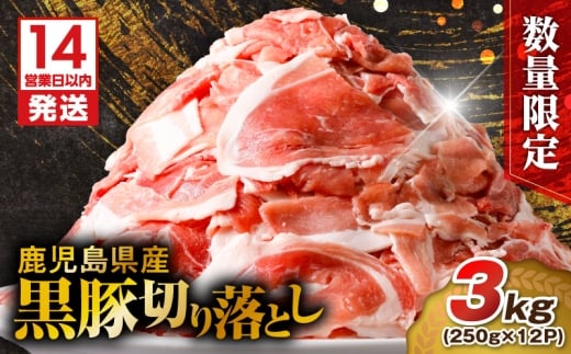 【14営業日以内に発送】【数量限定】鹿児島県産 黒豚切り落とし 3kg　K025-001_06