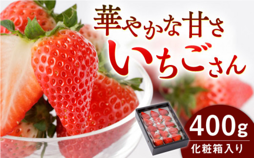 【先行予約】【農家直送】いちごさん（化粧箱入り400g）/佐賀県産いちご 苺 イチゴ ジューシーいちご 【StrawberryFarm-K】 [IBJ002]