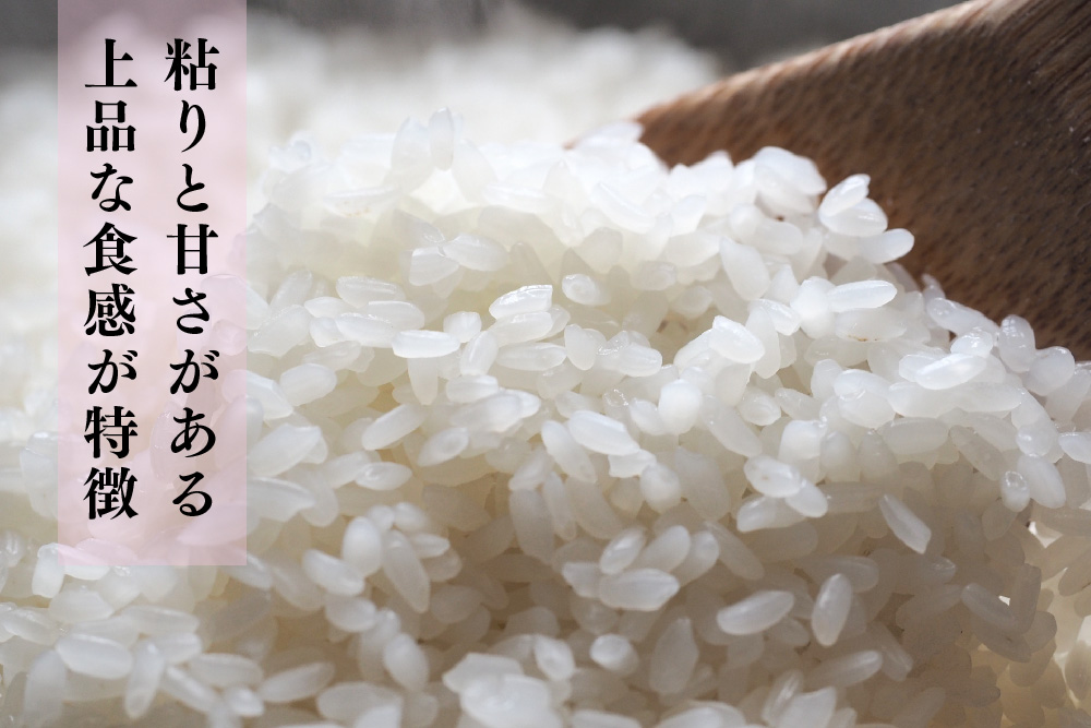 【令和7年産 新米 先行受付】ひよくもち10kg(5kg×2)【ひよくもち もち米 九州 肥沃 食感 お餅 赤飯 おこわ ちまき 美味しい】(H061844)