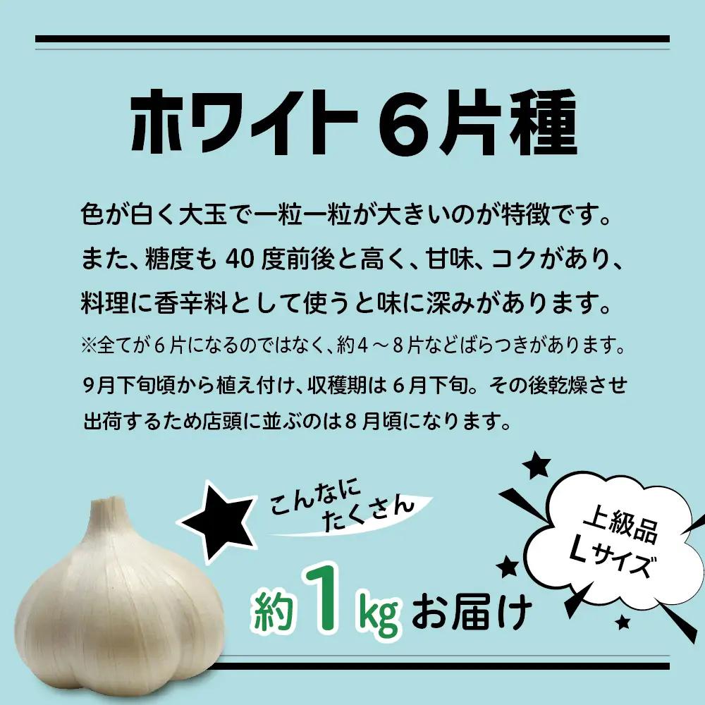 【8月上旬より順次発送】 青森県産にんにく 上級品 Lサイズ 1kg ホワイト6片種 にんにく