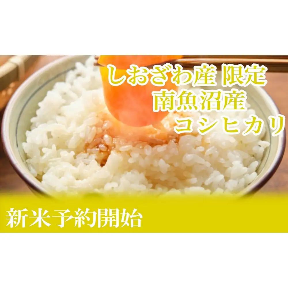 【令和8年　新米予約】定期便12ヶ月：精米2kgしおざわ産限定 南魚沼産コシヒカリ【2026年10月上旬から1ヶ月以内に順次発送予定】｜定期便