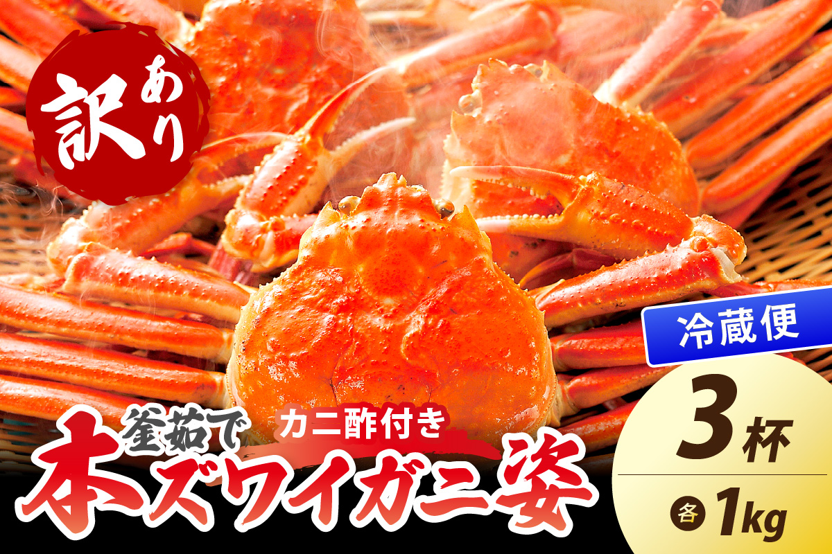 【大好評！カニ酢付き】訳あり！釜茹で！特大本ずわいがに姿 1kg×3杯 魚介 海鮮 海の幸 釜茹で ボイル ふるさと納税 カニ 訳あり ふるさと納税 ズワイガニ　YK00486