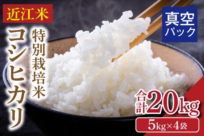 
            令和8年度産 先行予約  近江米『コシヒカリ』　特別栽培米　20キロ（5キロ×4袋　真空梱包）
          