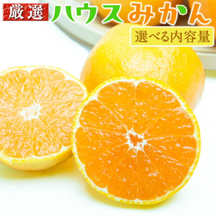 【ふるさと納税】＼選べる内容量／ 厳選 ハウスみかん | みかん ハウスみかん 厳選 和歌山県産 ハウス 和歌山みかん 厳選みかん ミカン 蜜柑 温州みかん 柑橘 柑橘類 果物 フルーツ 食品 くだもの 国産みかん ハウス栽培