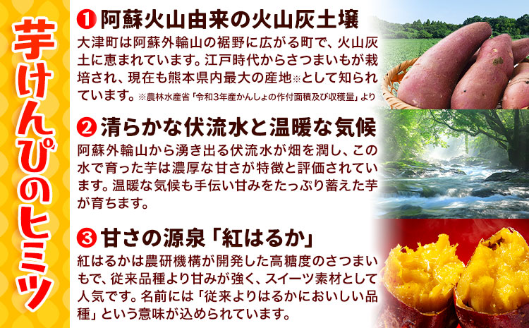 カリッカリ 紅はるかの芋けんぴ 250g 1袋250g 熊本県大津町産 無添加《30日以内に出荷予定(土日祝を除く)》薩摩芋 さつまいも サツマイモ イモケンピ 保存料・着色料 不使用 小分け---o