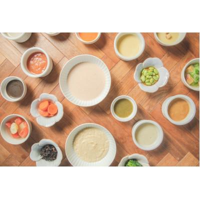 ふるさと納税 清須市 介護用GSミキサー食・2週間セット(3食×14日間分)