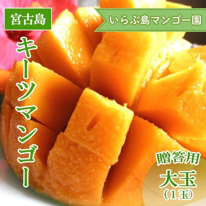 【ふるさと納税】【先行受付】＜2026年発送＞いらぶ島マンゴー園　宮古島産 “キーツマンゴー”《贈答用》大玉1玉（HR06）
