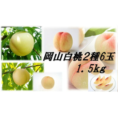 【ふるさと納税】2027年先行予約岡山白桃食べ比べ　早生種　6玉2種類【配送不可地域：離島】【1684885】