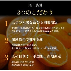 甘夏+河内晩柑 愛媛人気2品種食べ比べ【各2kg】【D70-134】【1684484】