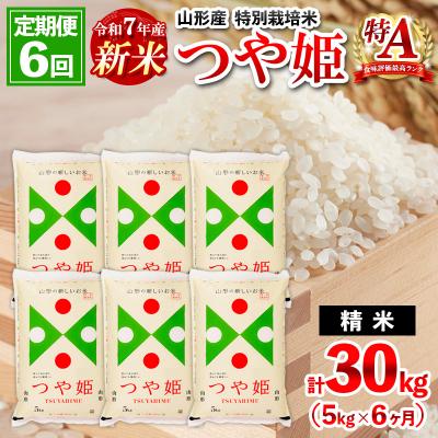 ふるさと納税 山形市 【定期便6回】令和7年産新米 山形産 特別栽培米 つや姫 5kg×6ケ月11月発送 FZ25-088