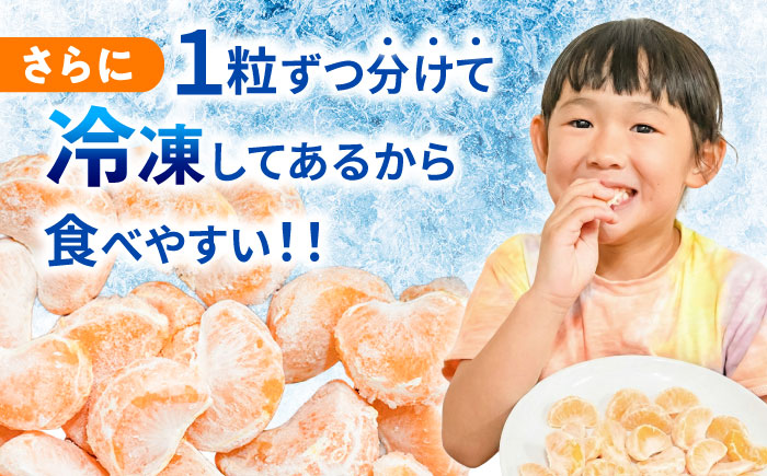 冷凍 伊木力みかん 1.6kg(400g×4袋) / みかん ミカン 蜜柑 冷凍みかん 伊木力みかん 冷凍 / 諫早市 / 山野果樹園 [AHCF006]