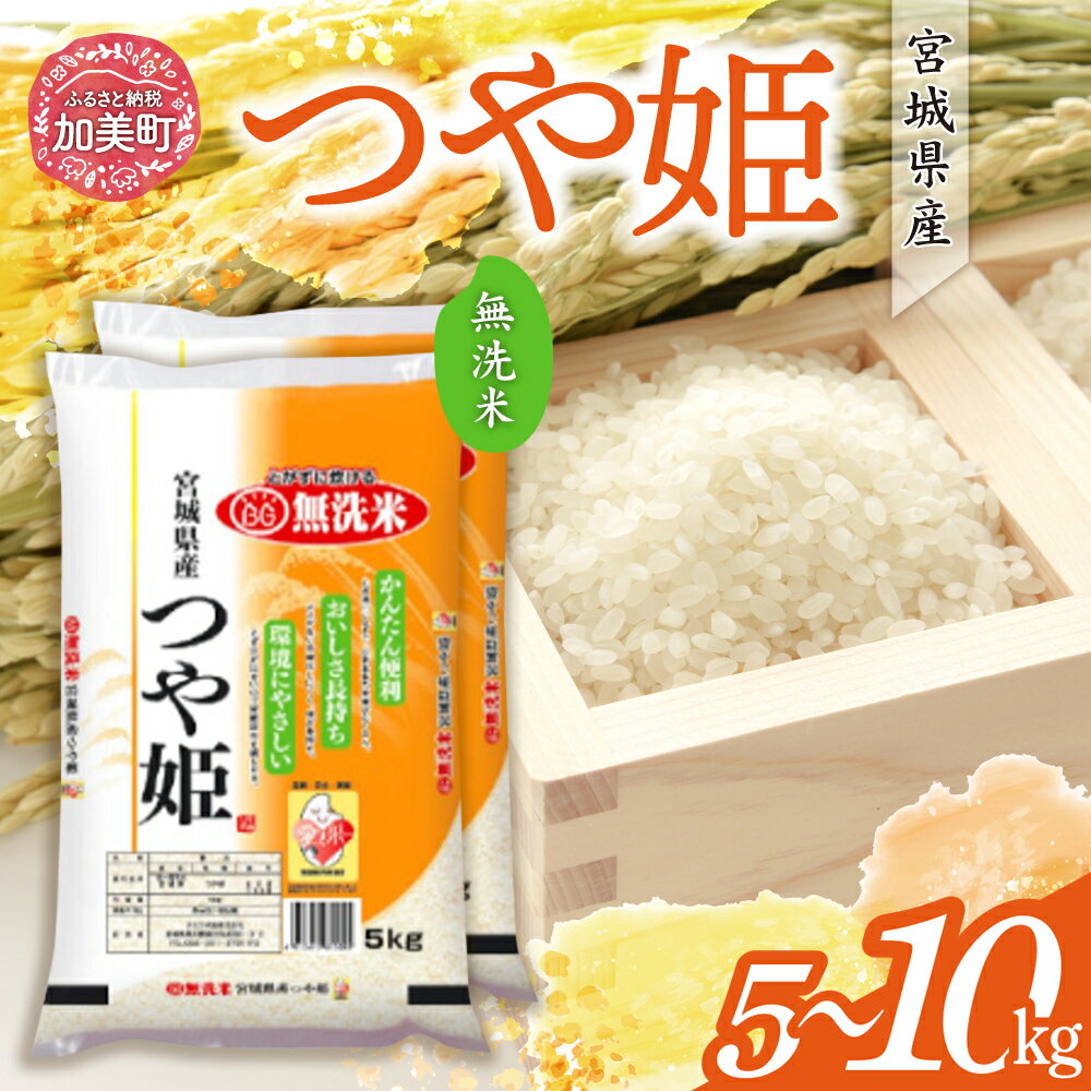 【ふるさと納税】 無洗米 10kg つや姫 米 令和6年産 ( 5kg × 2袋) 小分け 宮城県産 [カメイ 宮城県 加美町 ] 令和6年 お米 こめ コメ 精米 白米 時短 エコ 人気 便利 ブランド米 定期便 おいしい | km00019-r6