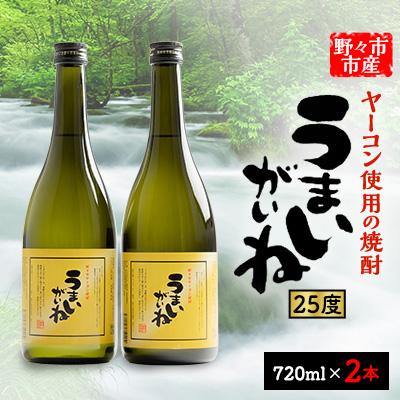 ふるさと納税 野々市市 うまいがいね　720ml×2本