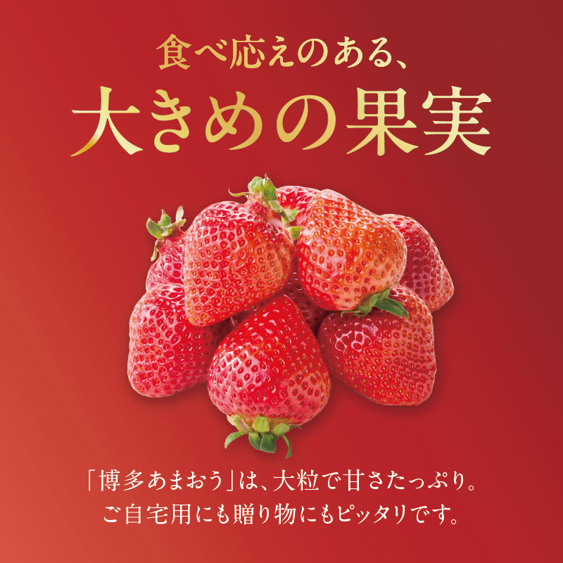 【2026年2月発送開始】博多あまおうＧ270g×6パック｜ＪＡふくおか八女 あまおう いちご 苺 イチゴ フルーツ 果物 くだもの 人気  旬 福岡県産 大粒 アフター補償 数量限定 期間限定 産地