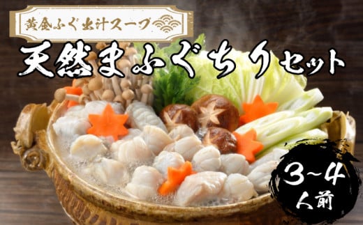 【 先行予約 】 ふぐ 天然 まふぐ ちり セット 3～4人前 冷凍 【極み！黄金 ふぐ出汁 スープ 】 真ふぐ 鍋 ふぐ鍋 海鮮鍋 雑炊 セット 下関 山口 【2026年3月より発送】