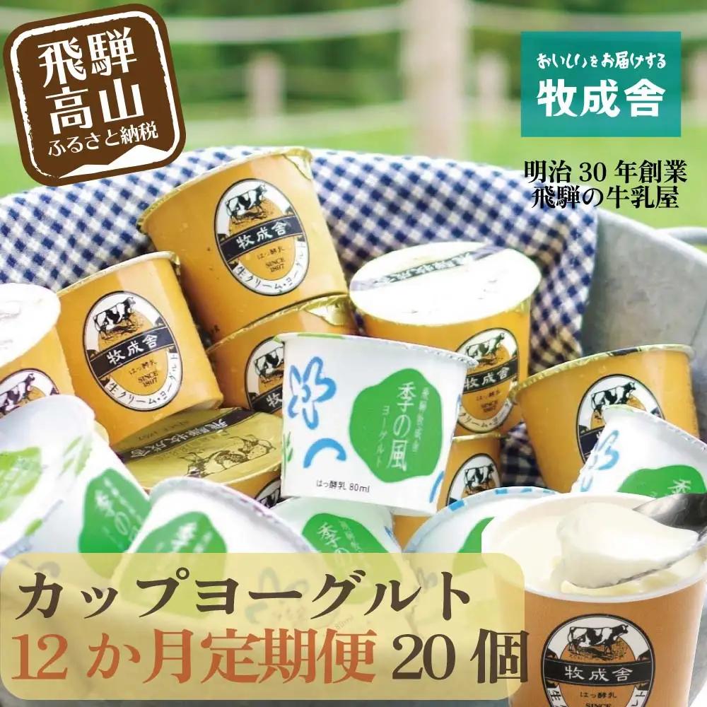 【定期便１２か月】飛騨のカップヨーグルト20個セット ヨーグルト2種類セット DF110