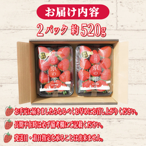 【先行予約】いちご 京の雫 2パック約560g 京都のいちご 甘いいちご ブランドいちご 完熟いちご