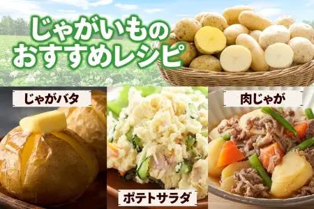 牧之瀬牧場 じゃがいも詰め合わせ 3kg 農薬不使用 3品種からおまかせ キタアカリ メークイン ワセシロ 北海道 弟子屈町 【ふるなび限定】3681