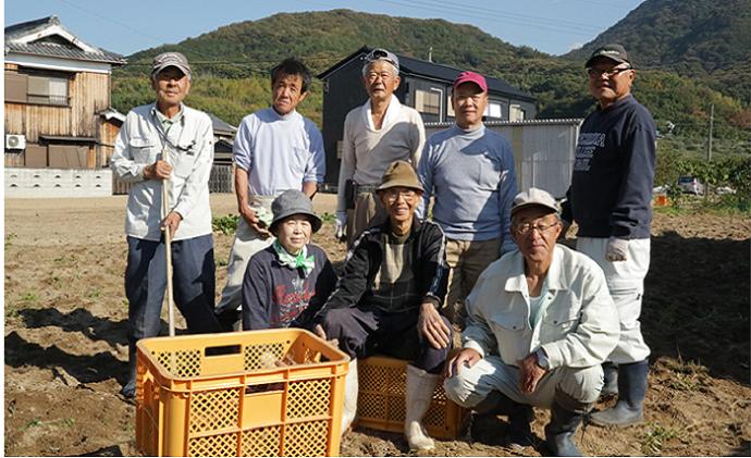 小豆島のさつまいも【紅あずま約5kg】
