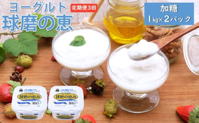 定期便3回 球磨の恵ヨーグルト 1kg×2パック【配送不可：沖縄、離島】 乳製品 発酵食品 朝食 間食 新鮮 生乳 とろ～り もっちり 酸味がない 加糖 2個セット 3回お届け 大容量 