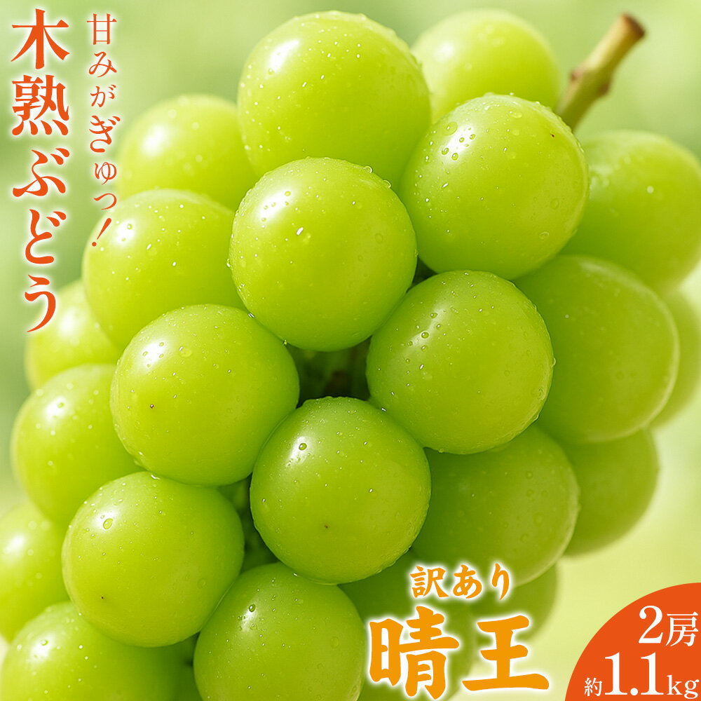 【ふるさと納税】ご家庭用 木熟ぶどう 晴王 2房 1.1kg ハレノフルーツ《10月上旬-11月中旬頃出荷》岡山県 浅口市 シャインマスカット フルーツ 果物 デザート【配送不可地域あり】