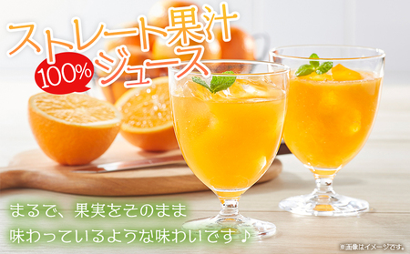 ＜マルワフルーツ柑橘アソート 100％ストレート果汁ジュース 500ml×10本＞ 詰め合わせ セット スイーツ 果物 フルーツ みかん オレンジ 柑橘 清見 でこひめ 河内晩柑 伊予柑 せとか 特産