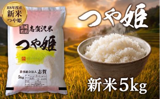 【 令和8年産 】新米 つや姫 5kg おこめ お米 白米 精米 コメ ライス ごはん ご飯 国産米 ブランド米 特A ツヤ もちもち 高級 おべんとう 弁当 おにぎり 甘み コク 食味 毎日の食卓 冷めてもおいしい 志賀沢米 岩沼産米