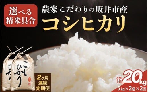 定期便 ≪2ヶ月連続お届け≫ 【令和7年産】農家こだわりの坂井市産 コシヒカリ 10kg (5kg×2袋) ×2回 (計20kg) 【白米】 【米 コメ お米 5キロ こしひかり ふるさと納税米 ブランド米 国産】 [G-10203_01]