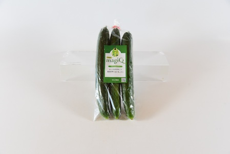 【先行予約】【期間限定】パリッと甘い魔法のきゅうり マジキュー4.5kg(約4.5kg)パリッと甘い魔法のキュウリ「マジキュー」漬物や天ぷらに！