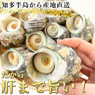 ふるさと納税 南知多町 純国産【味付き】 温めるだけで本格 サザエ つぼ焼き 岬だより |  | 02