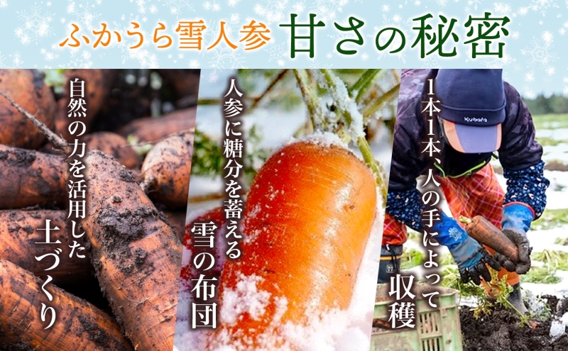 ふかうら雪人参スムージー 150g×10個 雪人参 スムージー にんじん 人参 ニンジン 栄養機能食品 スパウト付 スタンドパウチタイプ 手軽 栄養補給 ビタミンA βカロテン 青森県 深浦町