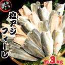 【ふるさと納税】 訳あり アジ 塩アジフィーレ 約3kg ノルウェー産 冷凍 小分け アジ 鯵 フィーレ 海鮮 魚 大容量 青魚 おかず 惣菜 焼魚 魚貝 おつまみ 弁当 人気 グルメ お取り寄せ 送料無料 ふるさと納税 ふるさと納税魚 11000円 11,000円 千葉県 銚子市 大一奈村魚問屋