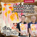 【ふるさと納税】R6年度産 先行予約 【あきたこまち】なまはげライス特選米5kg×2袋/計10kg　精米・お米・あきたこまち・米・秋田県産