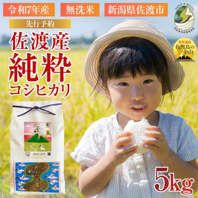 ふるさと納税 佐渡市 数量限定【先行予約・令和7年産】新潟県佐渡産の純粋コシヒカリ　精米【無洗米】5kg　(1回のみ)