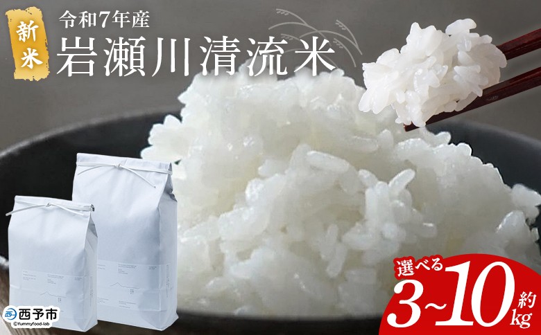 
            ＜令和7年産 新米 岩瀬川清流米 コシヒカリ 3kg/5kg/10kg＞ 選べる 3キロ 5キロ 10キロ こしひかり お米 コメ こめ 白米 精米 ご飯 穀物 鮮度 特産品 愛媛県産 西予市産 宇和町産 OTSUKAFARM 愛媛県 西予市 【常温】『2025年9月下旬から順次出荷予定』
          