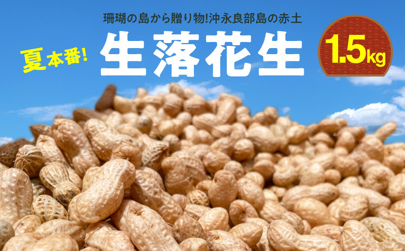 
                  ■夏本番！珊瑚の島から贈り物！沖永良部島の赤土 生落花生1.5kg！【7月後半～9月上旬】　W045-001u
                
