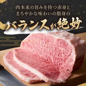 【A4～A5】長崎和牛サーロインステーキ 300g(150g×2枚)( 肉 牛肉 牛 長崎和牛 国産牛 サーロイン ステーキ ステーキ肉 お取り寄せ プレゼント ギフト 送料無料 )【B1-189】